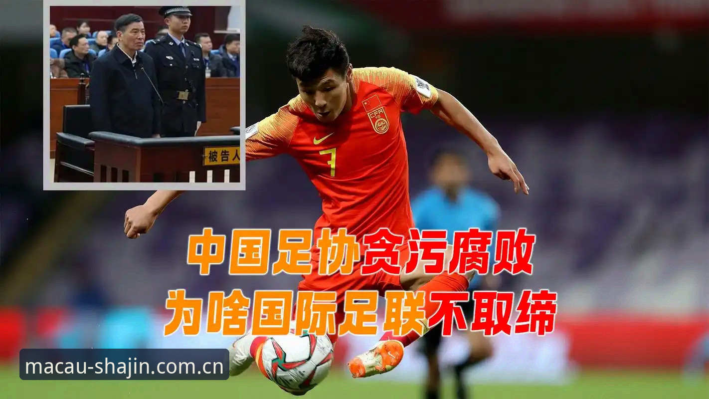 澳门沙金靠谱吗iOS版 深度揭秘:足协第三批禁足名单背后的足球腐败黑幕