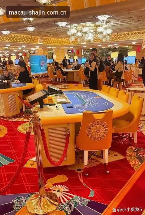 揭秘澳门沙金线上娱乐平台背后的真实体验与数据洞察