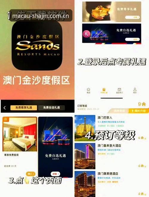 深度解析澳门沙金iOS版使用心得：资深玩家经验分享与功能测评